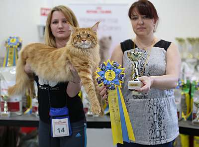 �������� ����� 11-12 ������ 2015 WCF-����� 8-14-169A5366 copy.jpg